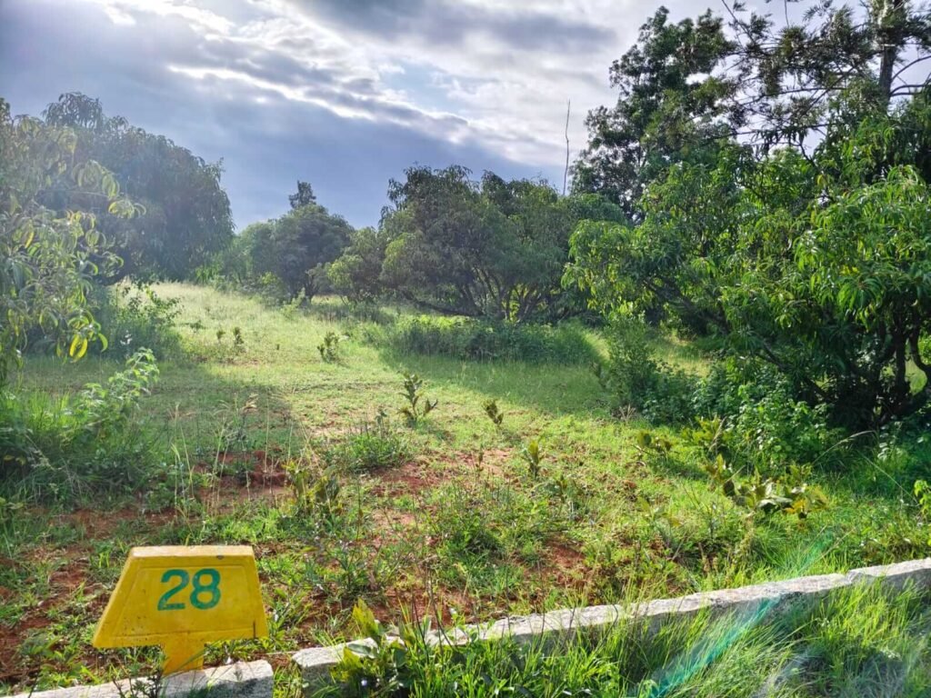 20 acre land near chikkaballapur-devanahalli bangalore image