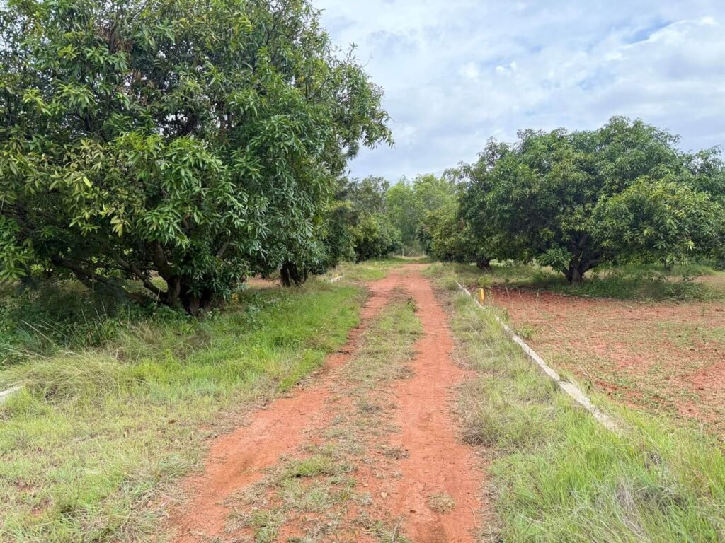farm land bangalore north gated layout image