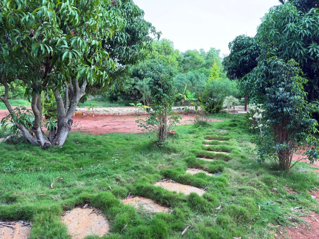 country Roads chikkaballapur Plot for sale image