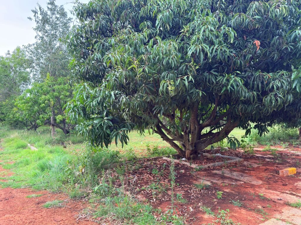 premium farmland image bangalore north